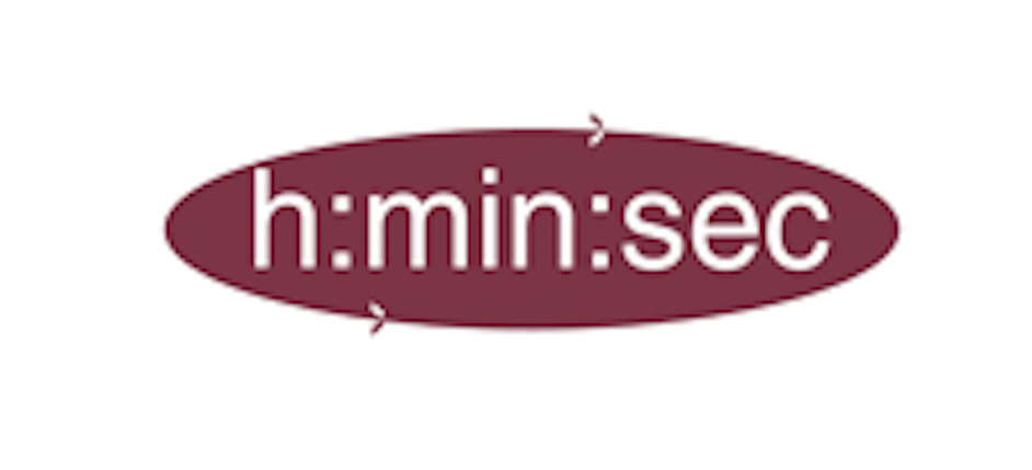 Logo klein formaat hminsec